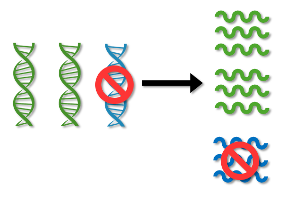 Understanding Key Differences Among DS-AD Clinical Trials 4 unlabeled ASO silences